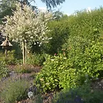 Bed And Breakfast Hattem Bed & Breakfast Hattem