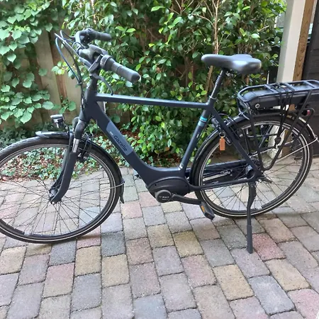 Bed & Breakfast Bed And Breakfast Hattem 4*