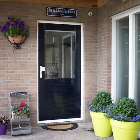Bed And Breakfast Hattem 4* Hattem