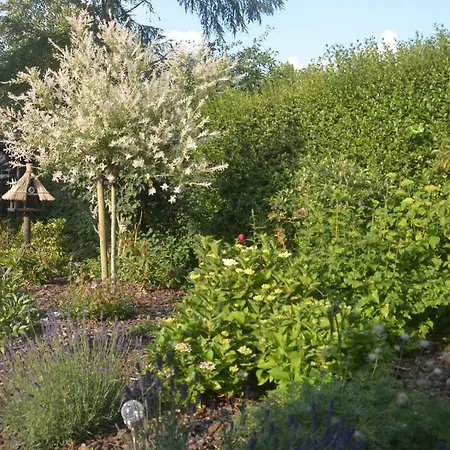 Bed And Breakfast Hattem B&B 하텀