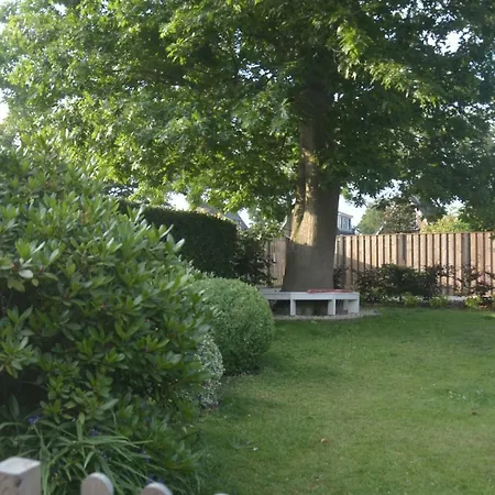 Bed And Breakfast Hattem 4* Hattem