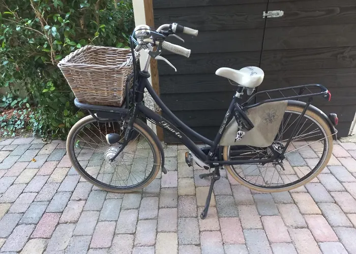 Bed And Breakfast Hattem 4*