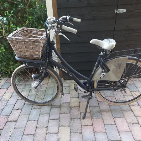 Bed And Breakfast Hattem 4*