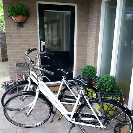 ベッド・アンド・ブレックファスト Bed And Breakfast Hattem